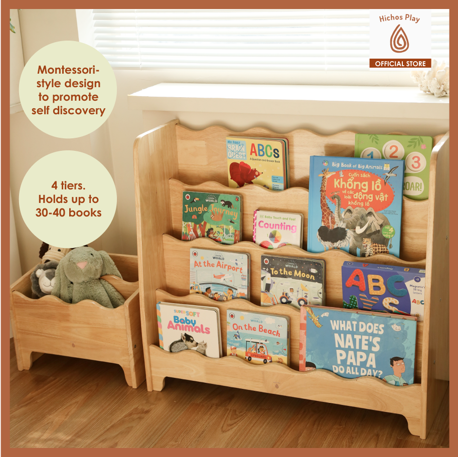 Scallop Shelf